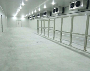 自動立體化冷庫(智能冷藏庫)建造設(shè)計(jì)方案