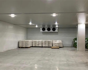 城市周邊建造一個8800平生鮮電商冷庫設(shè)計安裝費用？