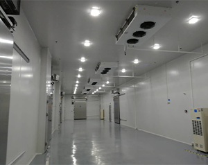 醫(yī)藥冷庫(kù)建造這些您了解嗎？藥品冷庫(kù)建設(shè)多少錢